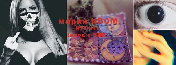 прущие грибы Каменка