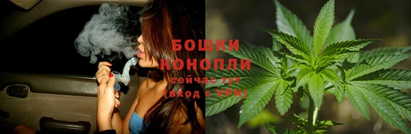 прущие грибы Каменск-Шахтинский