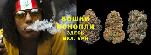 прущие грибы Каменка