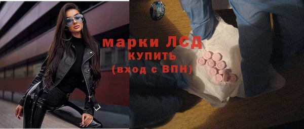 прущие грибы Каменск-Шахтинский