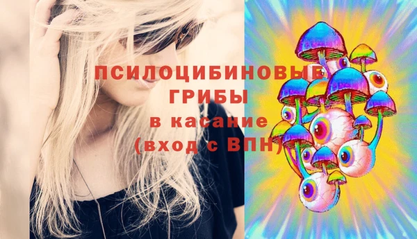 прущие грибы Каменка