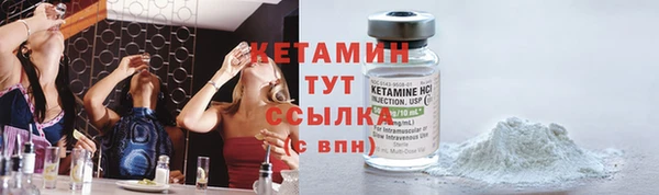 прущие грибы Каменск-Шахтинский