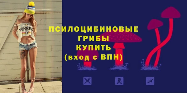 прущие грибы Каменка