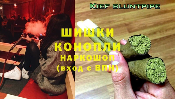 прущие грибы Каменск-Шахтинский