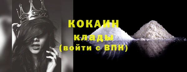 прущие грибы Каменск-Шахтинский