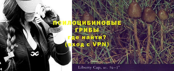 прущие грибы Каменка
