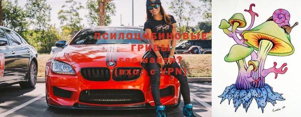 прущие грибы Каменка
