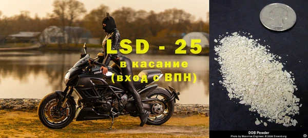 прущие грибы Каменка