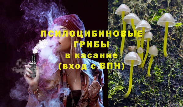 прущие грибы Каменка