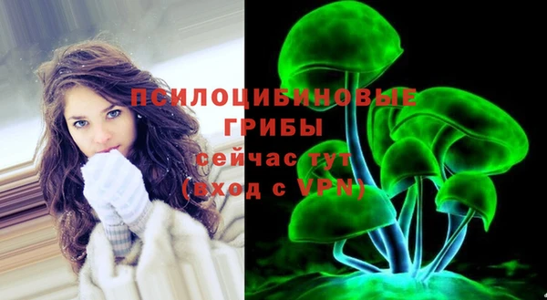прущие грибы Каменка