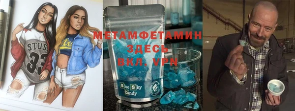 прущие грибы Каменка