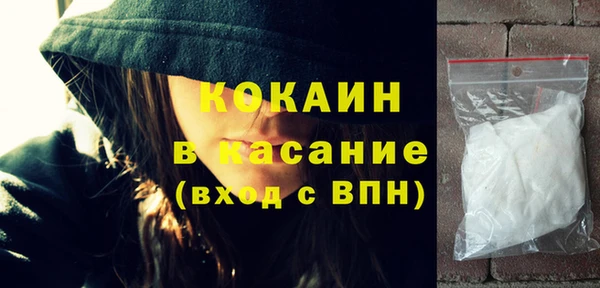 прущие грибы Каменка