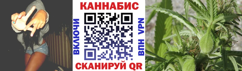 Купить закладки  Красный Холм  Каннабис гибрид 